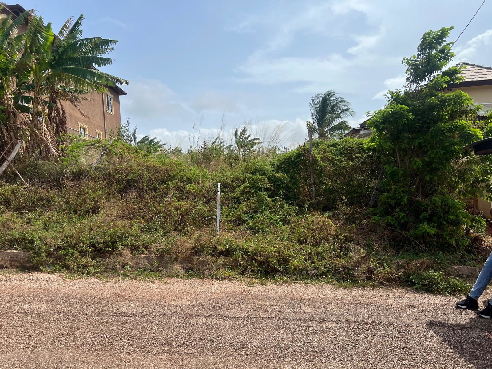 Sixth image of Lot #108- Gazeland,nain in Nain, St. Elizabeth, Jamaica - property is For Sale