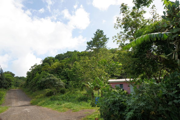 Fifth image of Hatfield in Hatfield, Manchester, Jamaica - property is For Sale