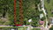 First image of Hatfield in Hatfield, Manchester, Jamaica - property is For Sale