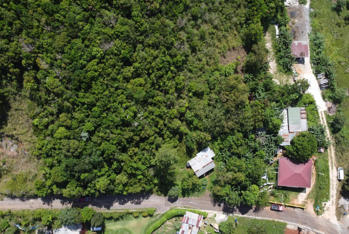 Second image of Hatfield in Hatfield, Manchester, Jamaica - property is For Sale