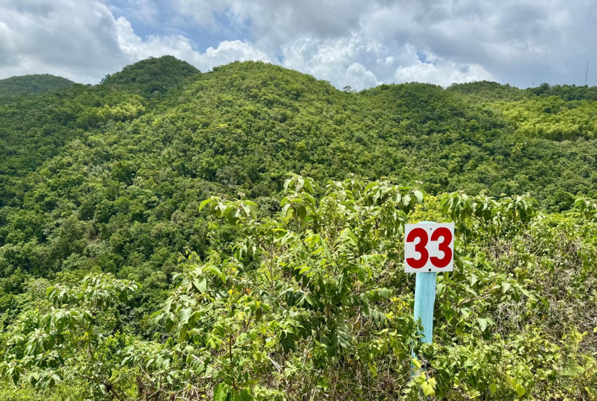 Fourth image of 33 Chanteclaire Avenue in Red Hills, St. Andrew, Jamaica - property is For Sale