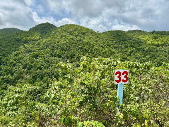 Fourth image of 33 Chanteclaire Avenue in Red Hills, St. Andrew, Jamaica - property is For Sale