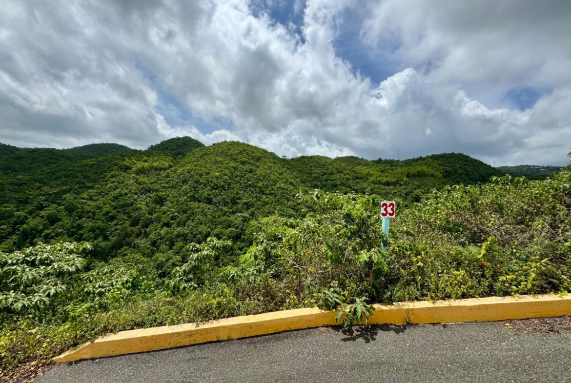 Fifth image of 33 Chanteclaire Avenue in Red Hills, St. Andrew, Jamaica - property is For Sale