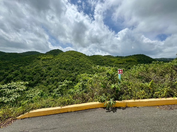 Fifth image of 33 Chanteclaire Avenue in Red Hills, St. Andrew, Jamaica - property is For Sale