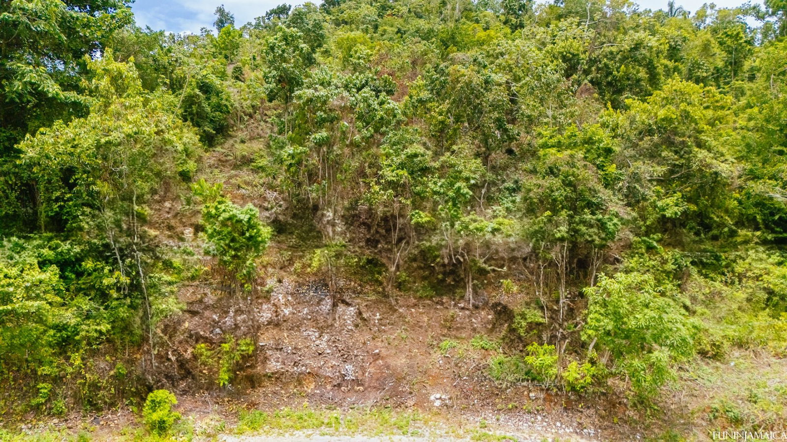 Seventh image of Spathodia Avenue in Mandeville, Manchester, Jamaica - property is For Sale