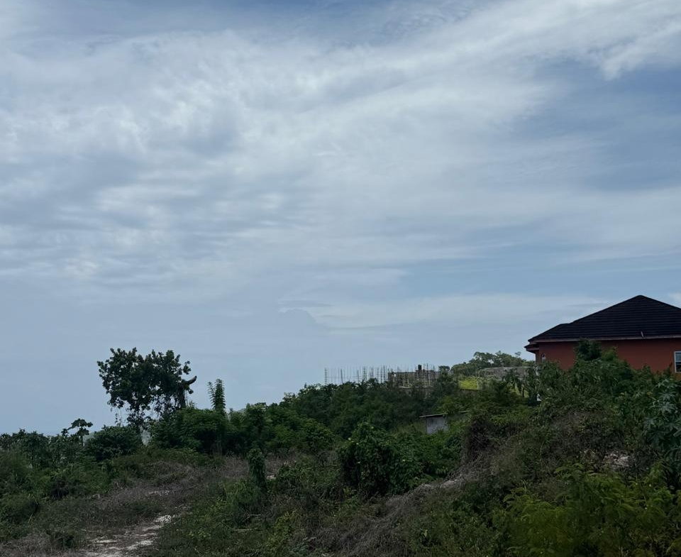 Eleventh image of Hills of Boscobel, st Mar in Hills of Boscobel, St. Mary, Jamaica - property is For Sale