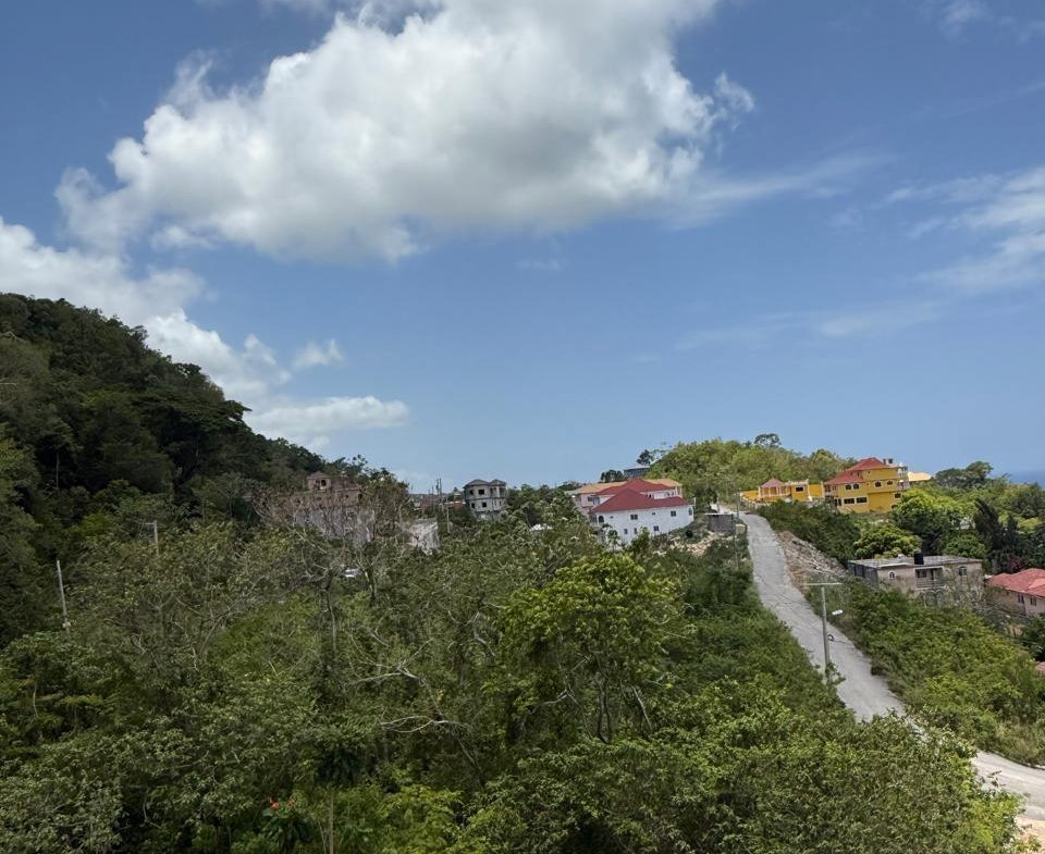 Fourth image of Hills of Boscobel, st Mar in Hills of Boscobel, St. Mary, Jamaica - property is For Sale