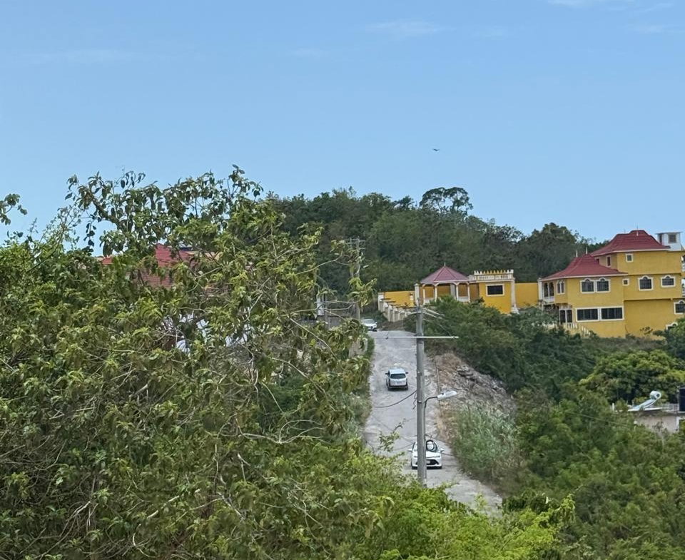 Sixth image of Hills of Boscobel, st Mar in Hills of Boscobel, St. Mary, Jamaica - property is For Sale
