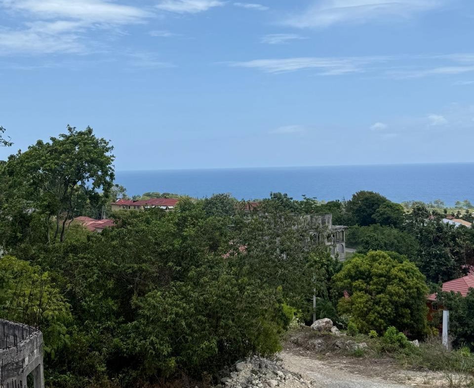 Seventh image of Hills of Boscobel, st Mar in Hills of Boscobel, St. Mary, Jamaica - property is For Sale
