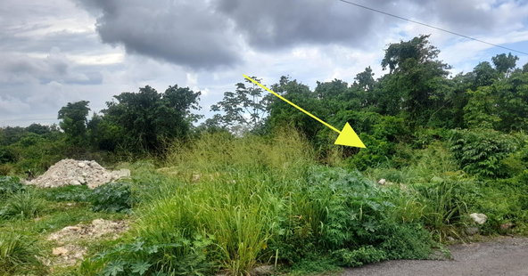 Second image of Huddersfield in Huddersfield Estates, St. Mary, Jamaica - property is For Sale