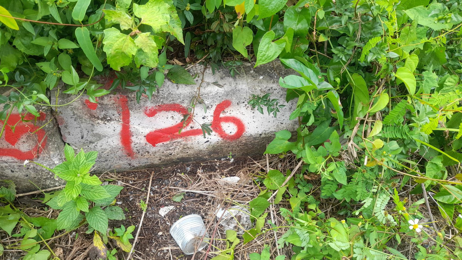 Fourth image of Huddersfield in Huddersfield Estates, St. Mary, Jamaica - property is For Sale