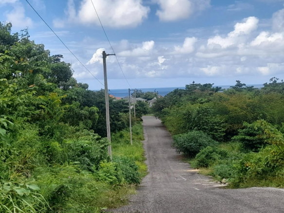 First image of Huddersfield in Huddersfield Estates, St. Mary, Jamaica - property is For Sale