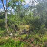 First image of 362 New Wales, Knockpatrick, in Knockpatirck, Manchester, Jamaica - property is For Sale