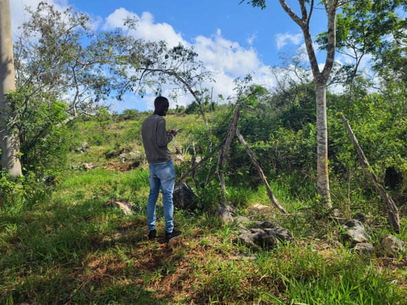 Fourth image of 362 New Wales, Knockpatrick, in Knockpatirck, Manchester, Jamaica - property is For Sale
