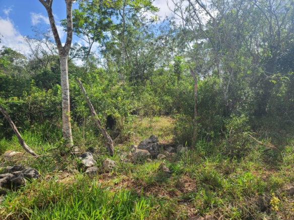 First image of 362 New Wales, Knockpatrick, in Knockpatirck, Manchester, Jamaica - property is For Sale