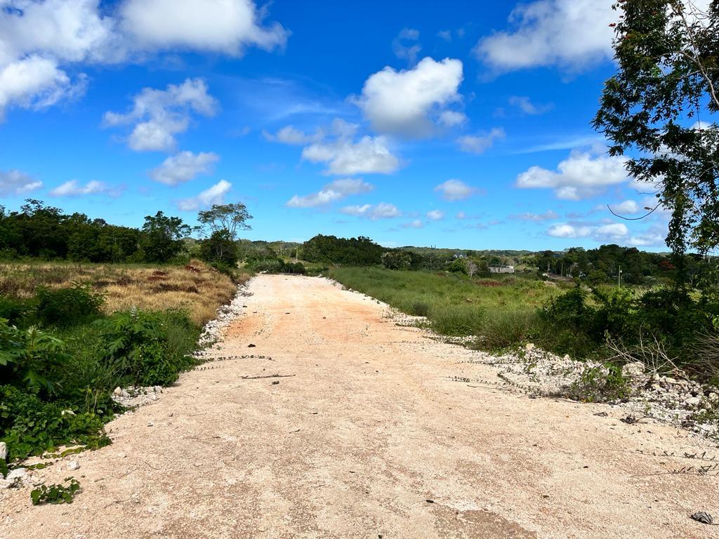 Second image of Lot 9 Godden Grove, Knockpatric in Knockpatirck, Manchester, Jamaica - property is For Sale