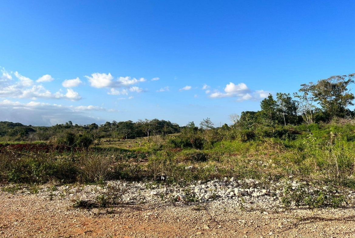 Third image of Lot 9 Godden Grove, Knockpatric in Knockpatirck, Manchester, Jamaica - property is For Sale