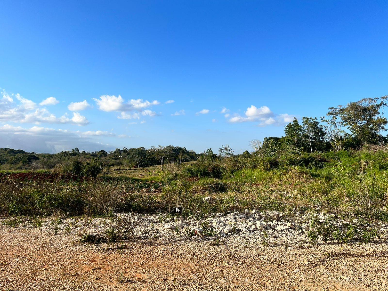 Third image of Lot 9 Godden Grove, Knockpatric in Knockpatirck, Manchester, Jamaica - property is For Sale