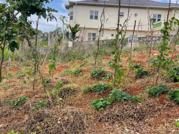 First image of 25 Bougainvillaea Heights, k in Knockpatrick, Manchester, Jamaica - property is For Sale