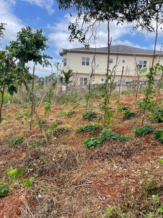 First image of 25 Bougainvillaea Heights, k in Knockpatrick, Manchester, Jamaica - property is For Sale