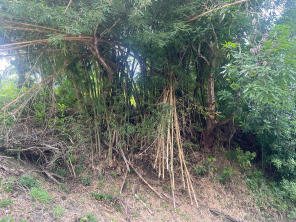Fourth image of Land Part of Dry Hill in Dry Hill, Hanover, Jamaica - property is For Sale
