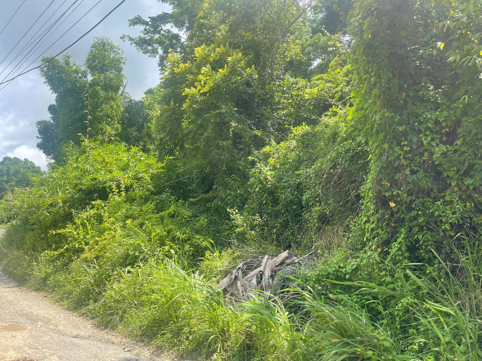Fifth image of Land Part of Dry Hill in Dry Hill, Hanover, Jamaica - property is For Sale
