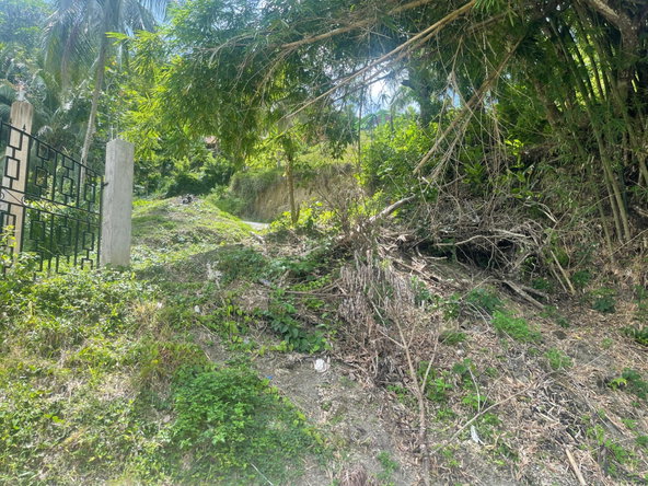 Sixth image of Land Part of Dry Hill in Dry Hill, Hanover, Jamaica - property is For Sale