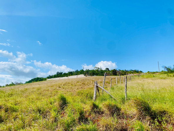 Second image of Lot 73 Malvern Heights in Malvern, St. Elizabeth, Jamaica - property is For Sale
