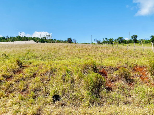 Third image of Lot 73 Malvern Heights in Malvern, St. Elizabeth, Jamaica - property is For Sale