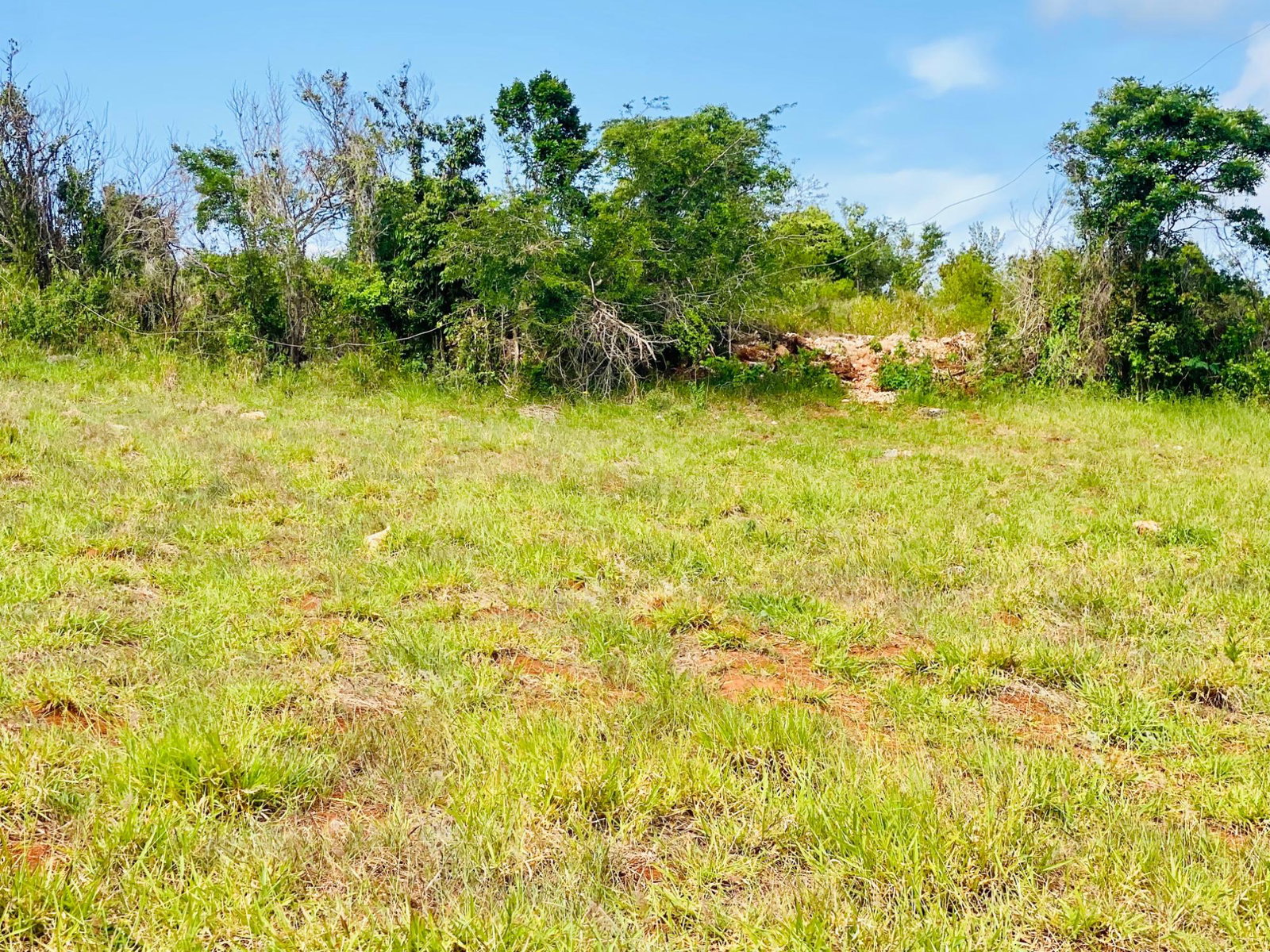 Third image of Lot 63 Malvern Heights in Malvern, St. Elizabeth, Jamaica - property is For Sale