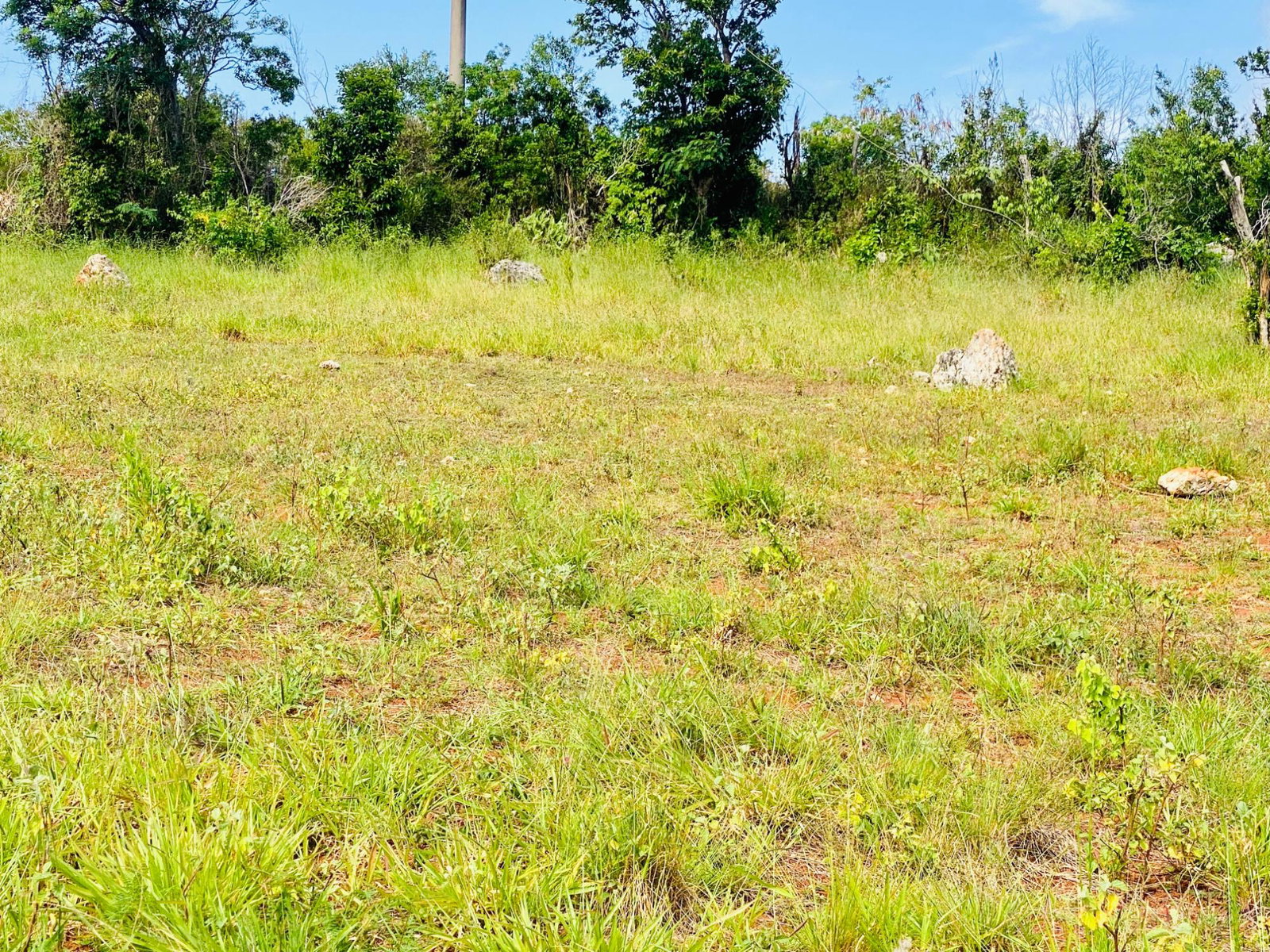 Fourth image of Lot 63 Malvern Heights in Malvern, St. Elizabeth, Jamaica - property is For Sale