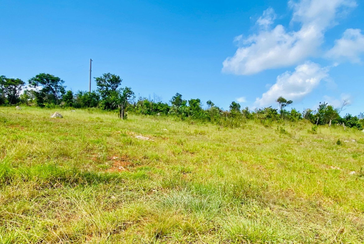 Fifth image of Lot 64 Malvern Heights in Malvern, St. Elizabeth, Jamaica - property is For Sale