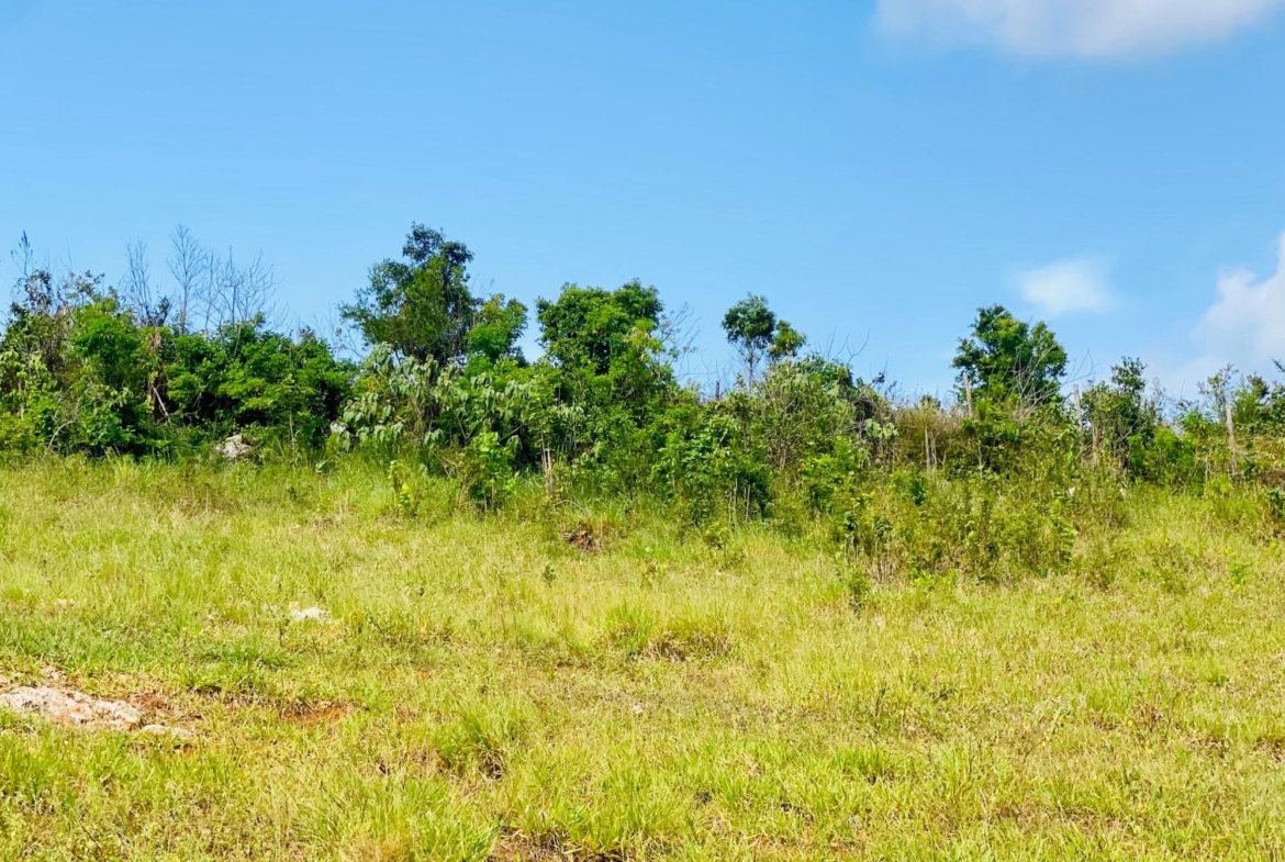 Sixth image of Lot 64 Malvern Heights in Malvern, St. Elizabeth, Jamaica - property is For Sale