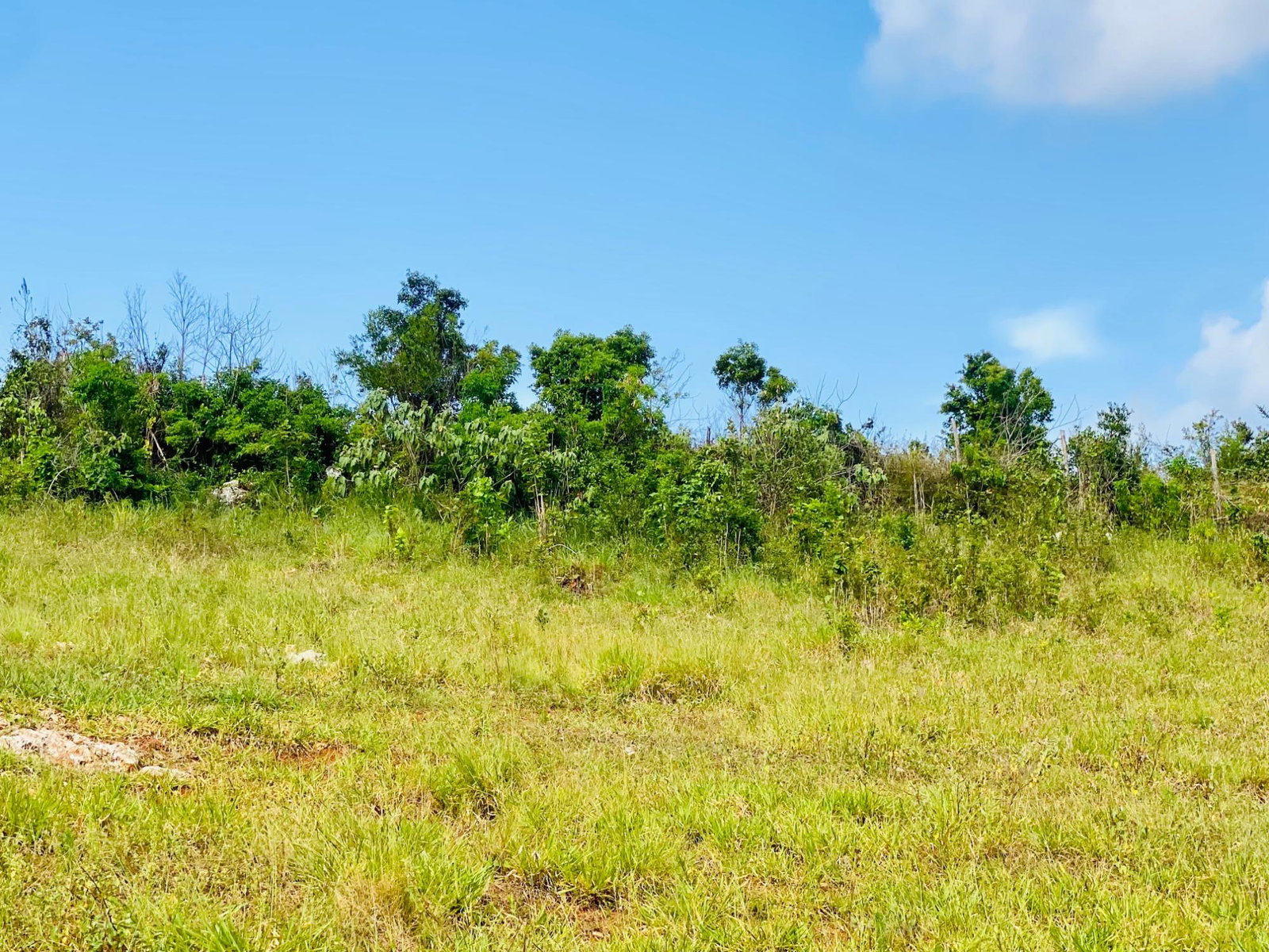 Residential-Lot-for-Sale-in-Malvern-Heights-St.-Elizabeth-Jamaica Sixth image of Lot 64 Malvern Heights in Malvern, St. Elizabeth, Jamaica - property is For Sale