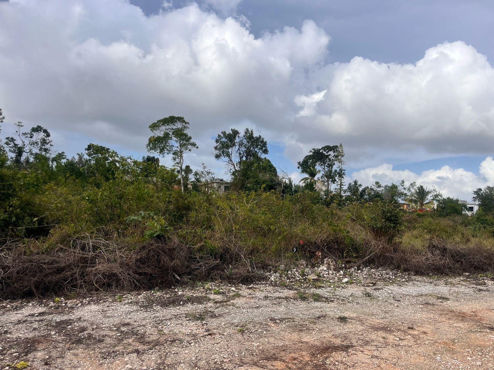 Residential-Lot-for-Sale-in-Mandeville-Manchester-Jamaica-6-Godden-Grove Second image of 6 Godden Grove, Manchester in Knockpatirck, Manchester, Jamaica - property is For Sale