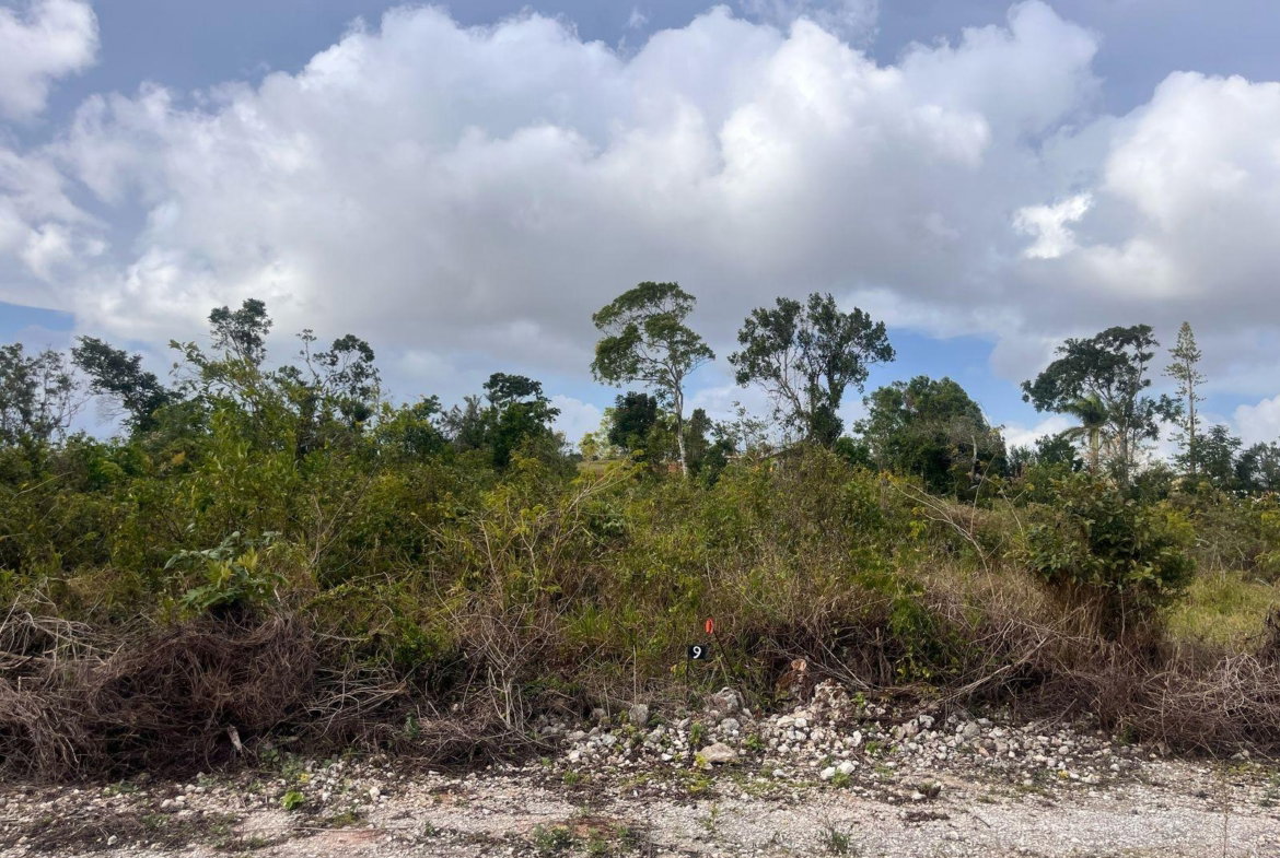 First image of 6 Godden Grove, Manchester in Knockpatirck, Manchester, Jamaica - property is For Sale