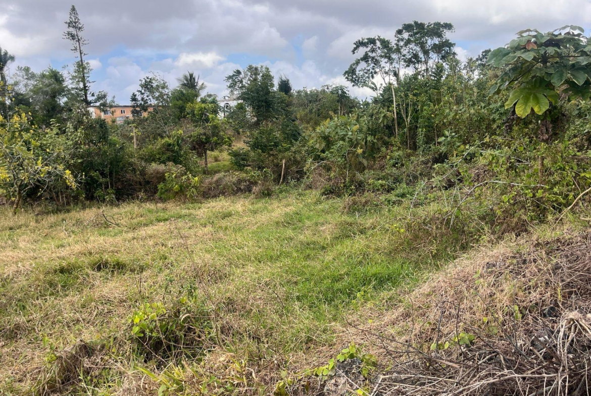 Third image of 6 Godden Grove, Manchester in Knockpatirck, Manchester, Jamaica - property is For Sale