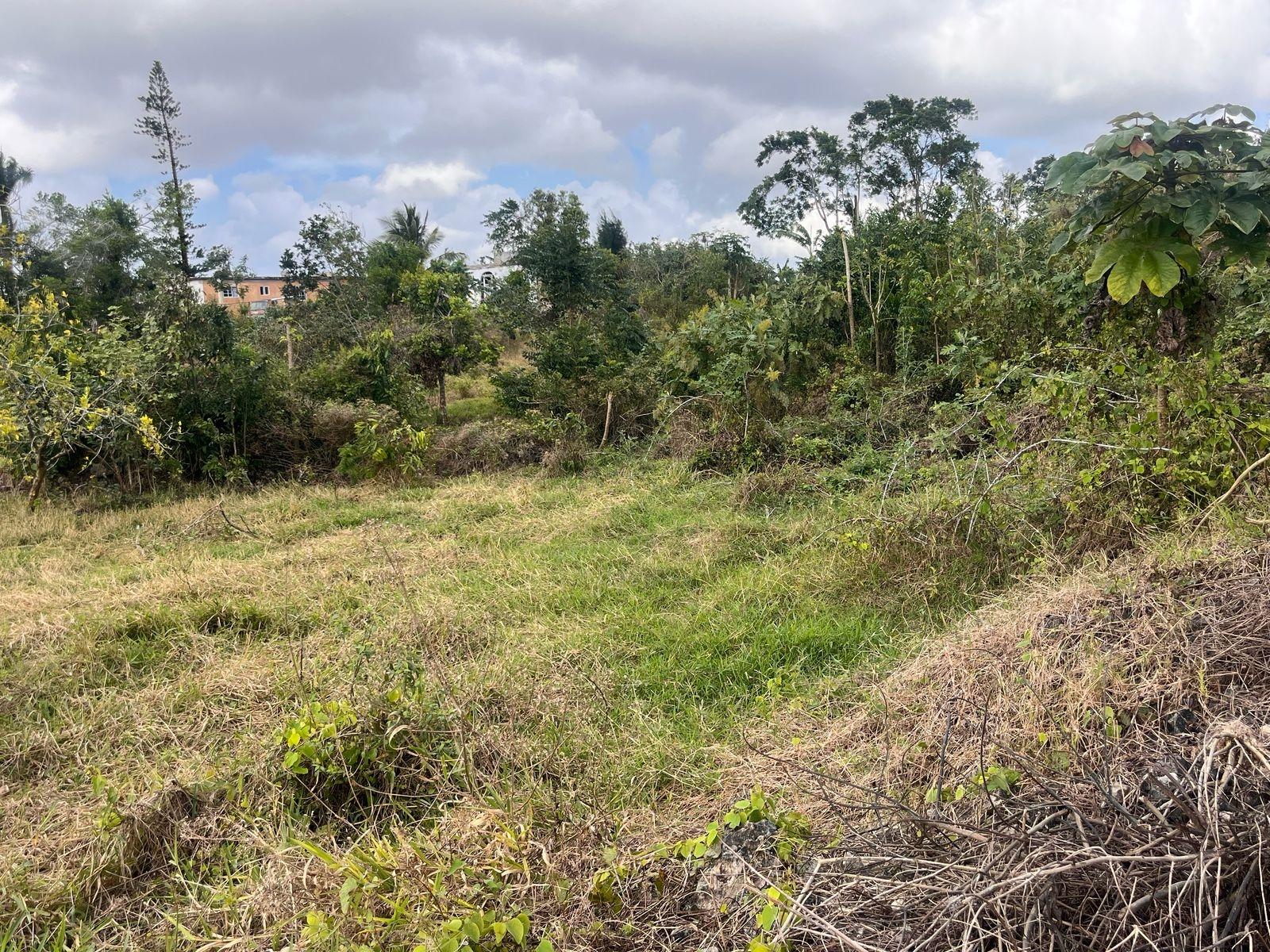 Residential-Lot-for-Sale-in-Mandeville-Manchester-Jamaica-6-Godden-Grove Third image of 6 Godden Grove, Manchester in Knockpatirck, Manchester, Jamaica - property is For Sale