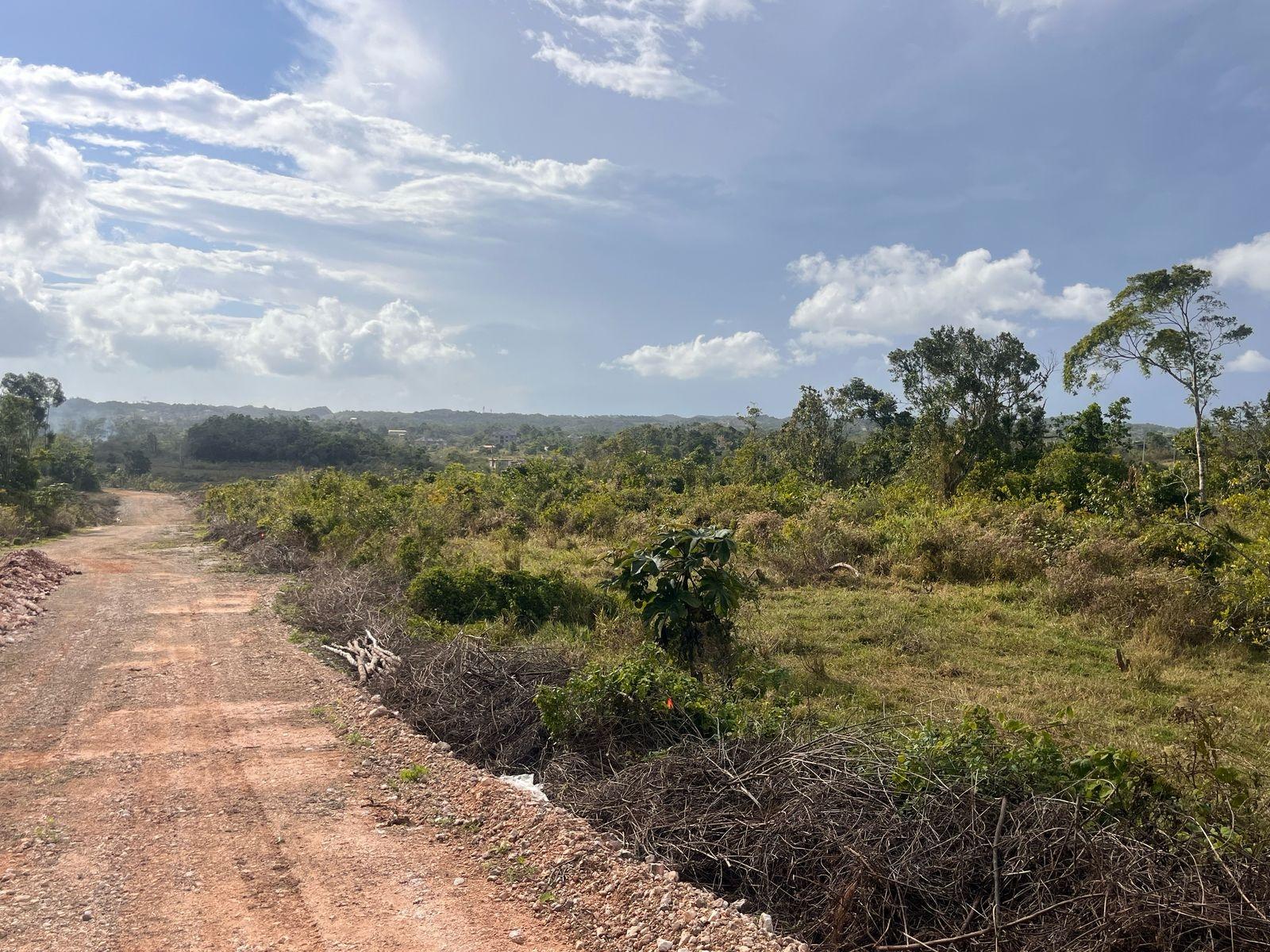 Residential-Lot-for-Sale-in-Mandeville-Manchester-Jamaica-6-Godden-Grove Fourth image of 6 Godden Grove, Manchester in Knockpatirck, Manchester, Jamaica - property is For Sale
