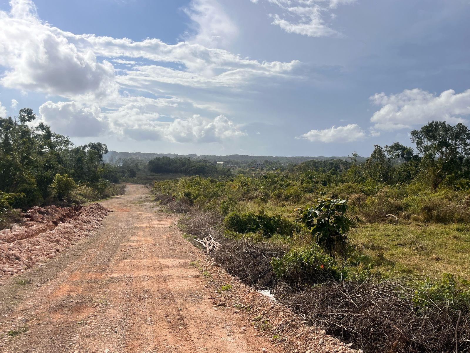 Residential-Lot-for-Sale-in-Mandeville-Manchester-Jamaica-6-Godden-Grove Fifth image of 6 Godden Grove, Manchester in Knockpatirck, Manchester, Jamaica - property is For Sale