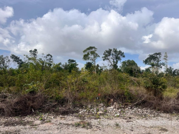 First image of 6 Godden Grove, Manchester in Knockpatirck, Manchester, Jamaica - property is For Sale