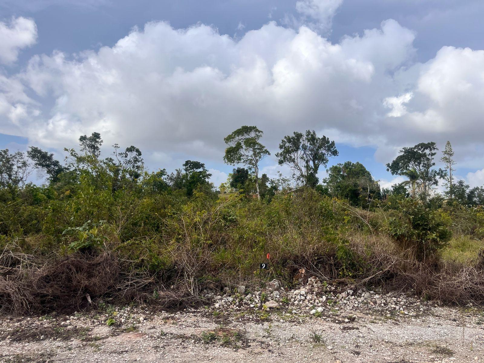 Residential-Lot-for-Sale-in-Mandeville-Manchester-Jamaica-6-Godden-Grove First image of 6 Godden Grove, Manchester in Knockpatirck, Manchester, Jamaica - property is For Sale