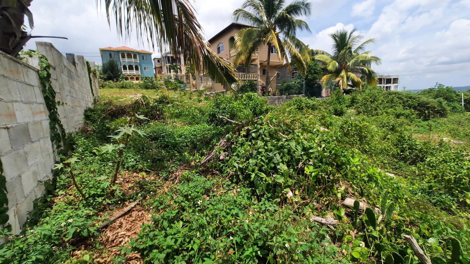 Residential-Lot-for-Sale-in-Melrose-Manchester-Jamaica-6299-sqft Second image of 122 Orchard Circle, Melrose m in Melrose, Manchester, Jamaica - property is For Sale