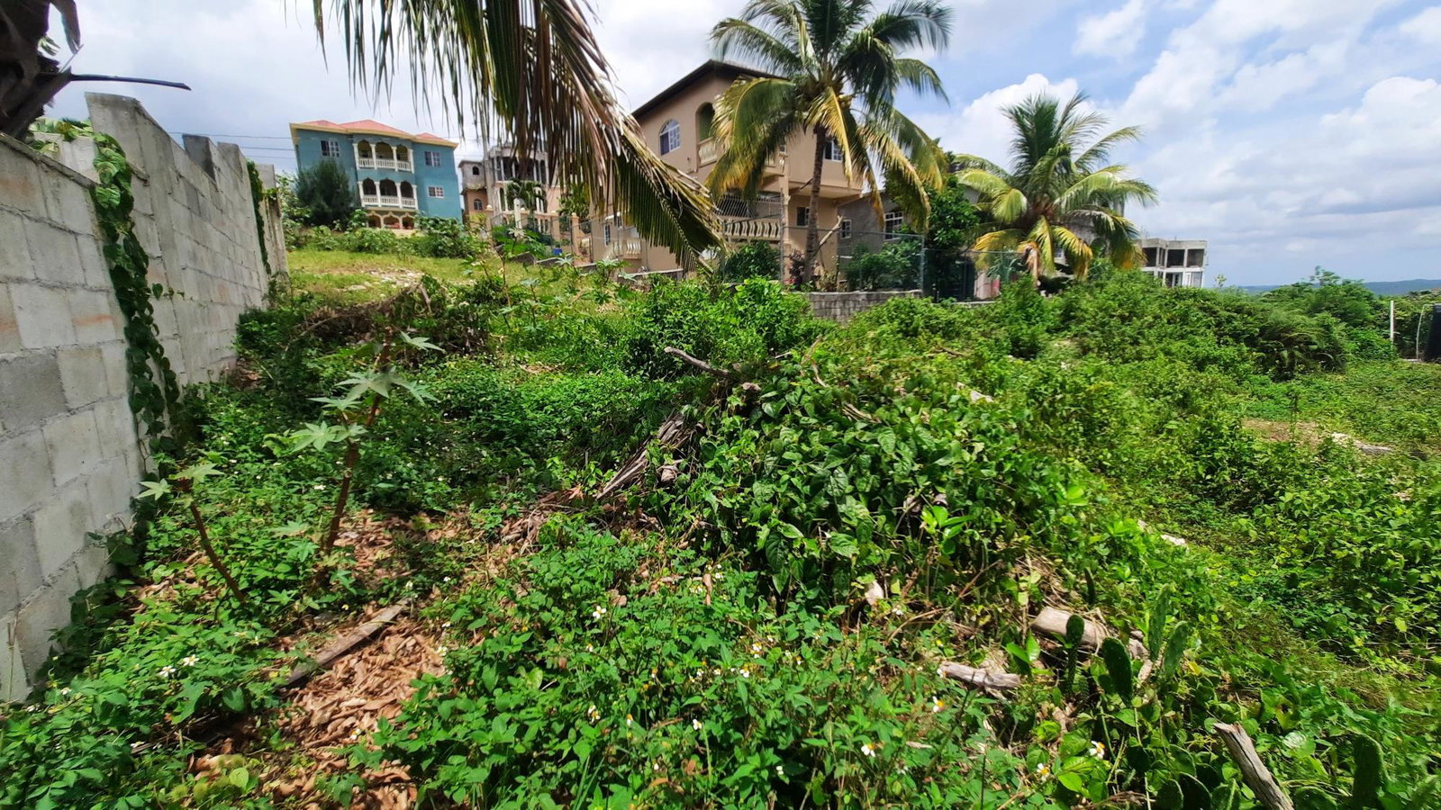 Residential-Lot-for-Sale-in-Melrose-Manchester-Jamaica-6299-sqft Third image of 122 Orchard Circle, Melrose m in Melrose, Manchester, Jamaica - property is For Sale