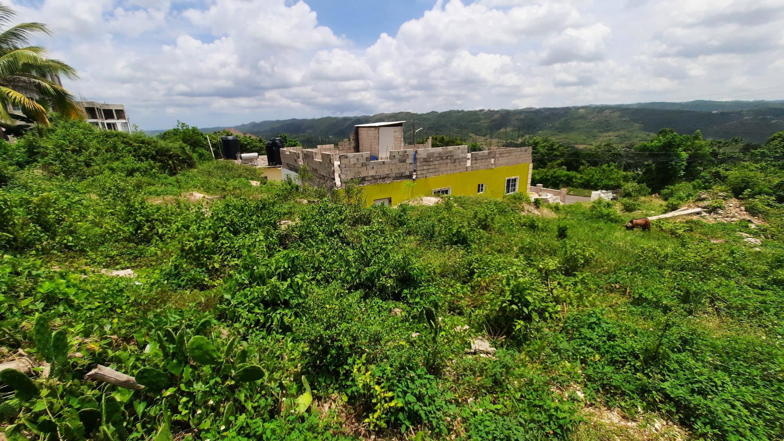 Residential-Lot-for-Sale-in-Melrose-Manchester-Jamaica-6299-sqft Fourth image of 122 Orchard Circle, Melrose m in Melrose, Manchester, Jamaica - property is For Sale