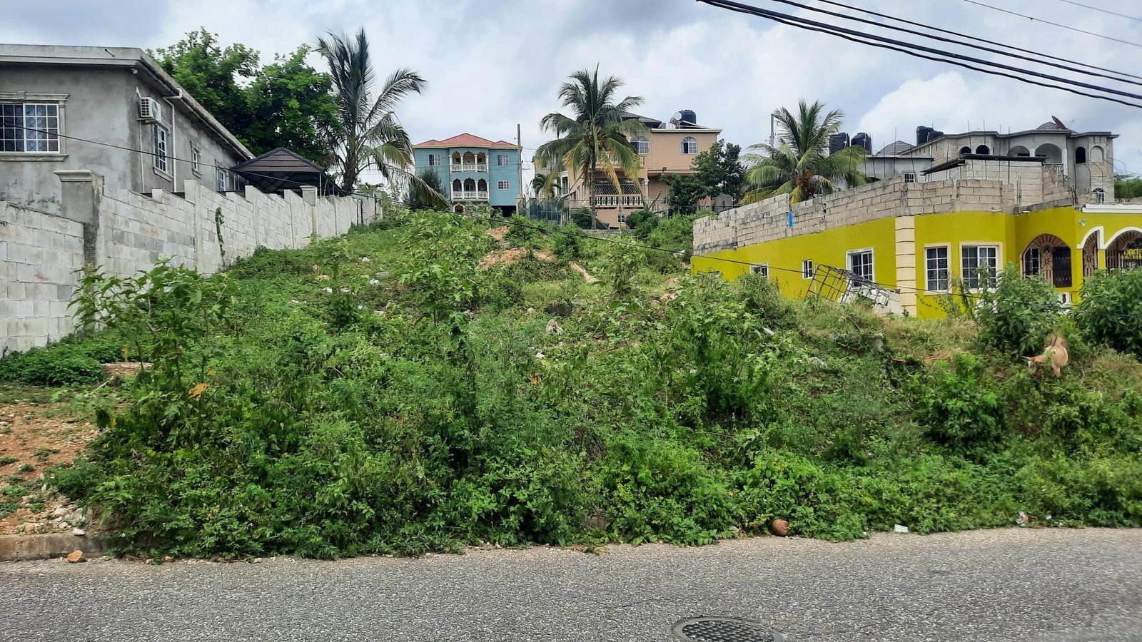 Residential-Lot-for-Sale-in-Melrose-Manchester-Jamaica-6299-sqft Seventh image of 122 Orchard Circle, Melrose m in Melrose, Manchester, Jamaica - property is For Sale