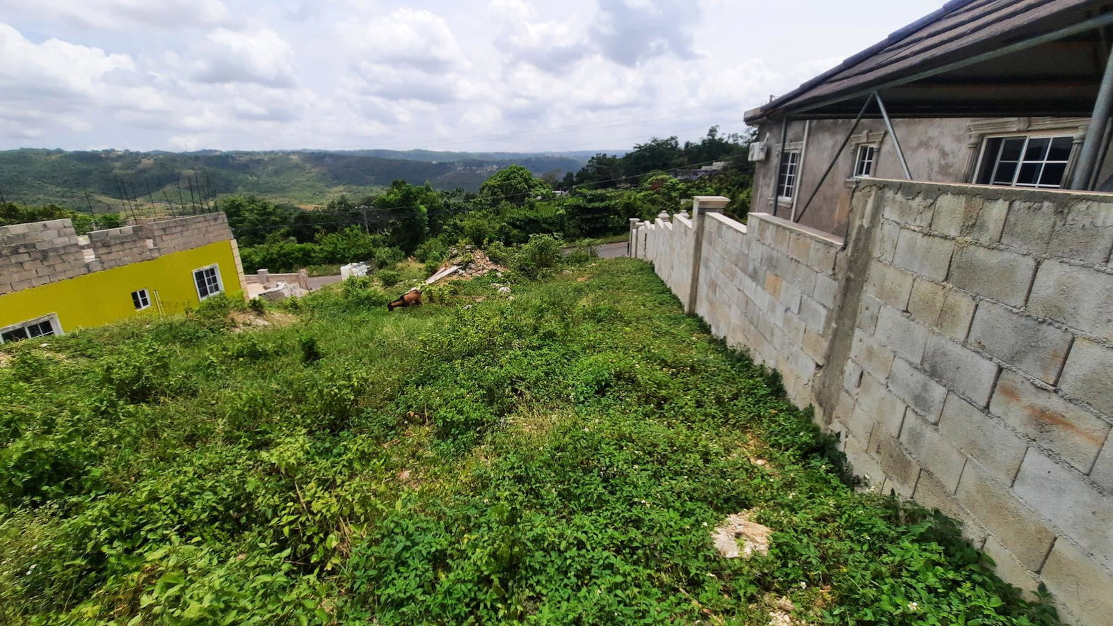 Residential-Lot-for-Sale-in-Melrose-Manchester-Jamaica-6299-sqft First image of 122 Orchard Circle, Melrose m in Melrose, Manchester, Jamaica - property is For Sale