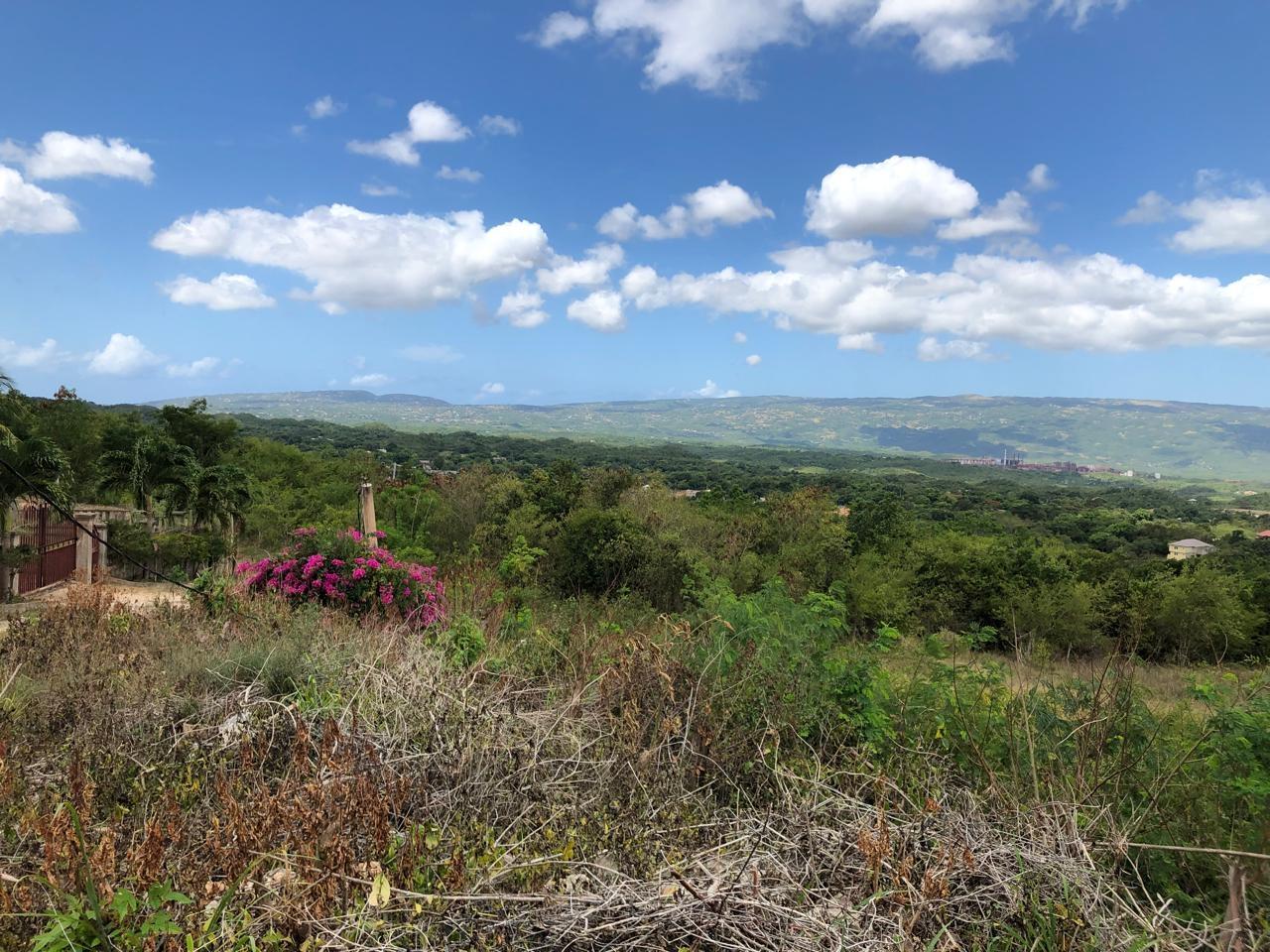 Residential-Lot-for-Sale-in-Montpelier-Manchester-Jamaica-1-Acre-Hillside-Property Second image of Lot 122 Montpelier, Manchester in Spur Tree, Manchester, Jamaica - property is For Sale