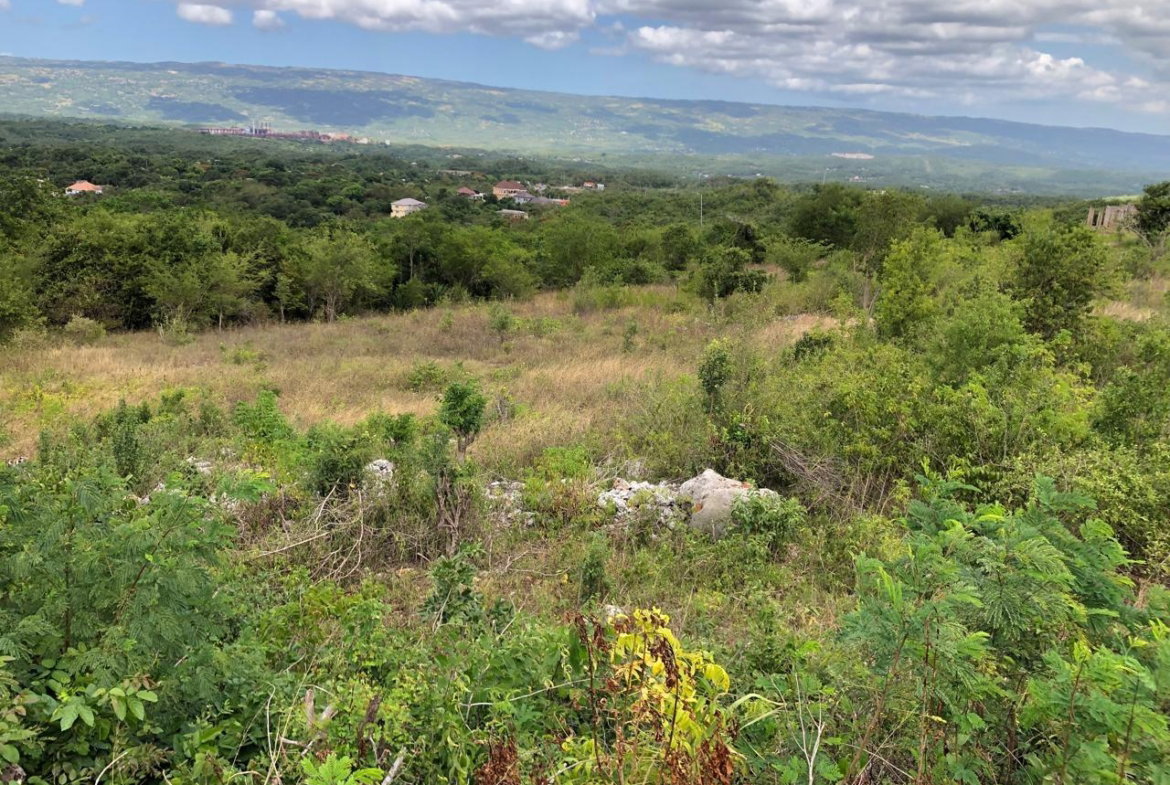 Eleventh image of Lot 122 Montpelier, Manchester in Spur Tree, Manchester, Jamaica - property is For Sale