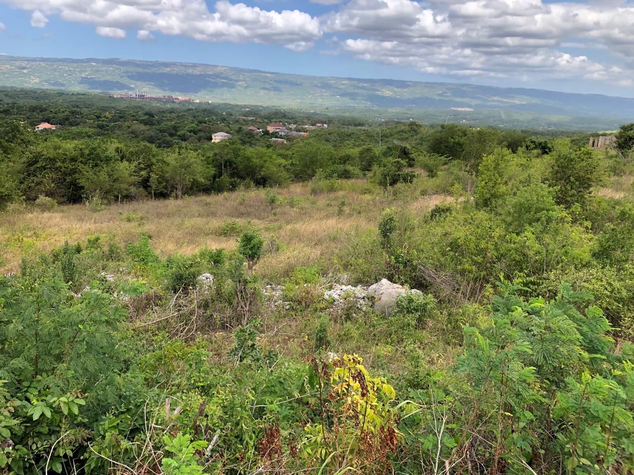 Residential-Lot-for-Sale-in-Montpelier-Manchester-Jamaica-1-Acre-Hillside-Property Eleventh image of Lot 122 Montpelier, Manchester in Spur Tree, Manchester, Jamaica - property is For Sale